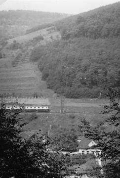 škola škola